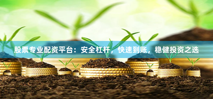 股票专业配资平台：安全杠杆，快速到账，稳健投资之选