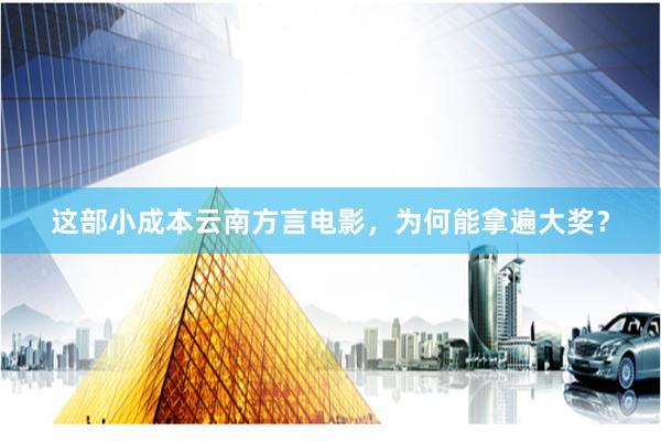 这部小成本云南方言电影，为何能拿遍大奖？